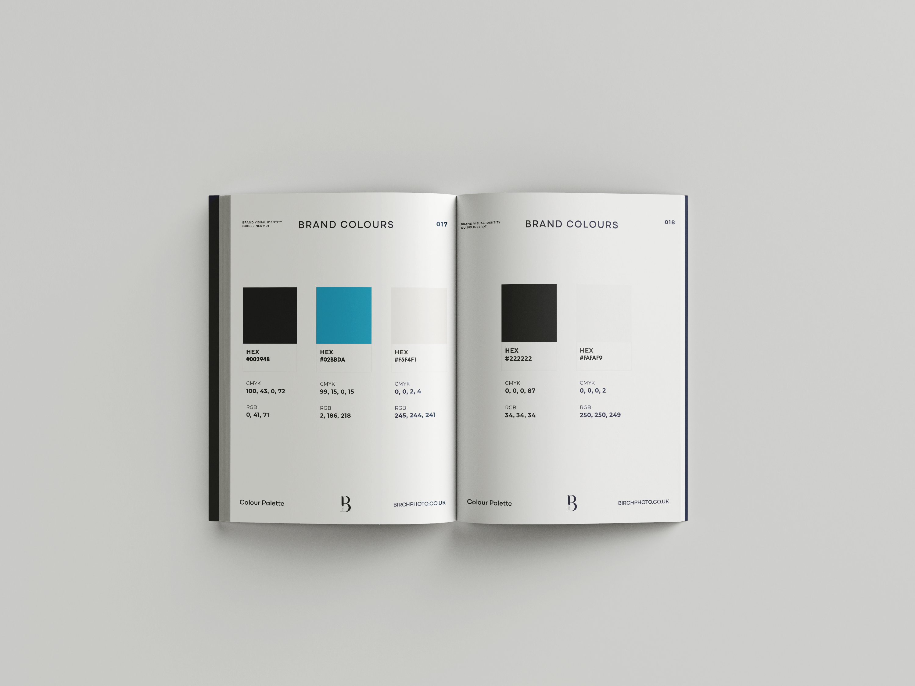 The brand guidelines open on the pages for 'Colours'.